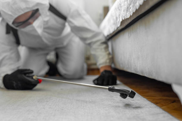 Professional Bed Bug Control technician working in Hitchcock, TX