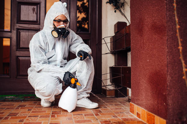 Reliable Bed Bug Control contractor in Hitchcock, TX by Nex Pest Control