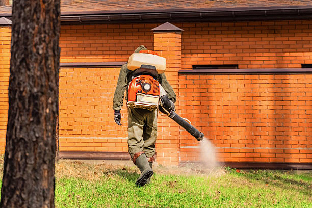 Trusted Ant Control service in Hitchcock, TX - Nex Pest Control